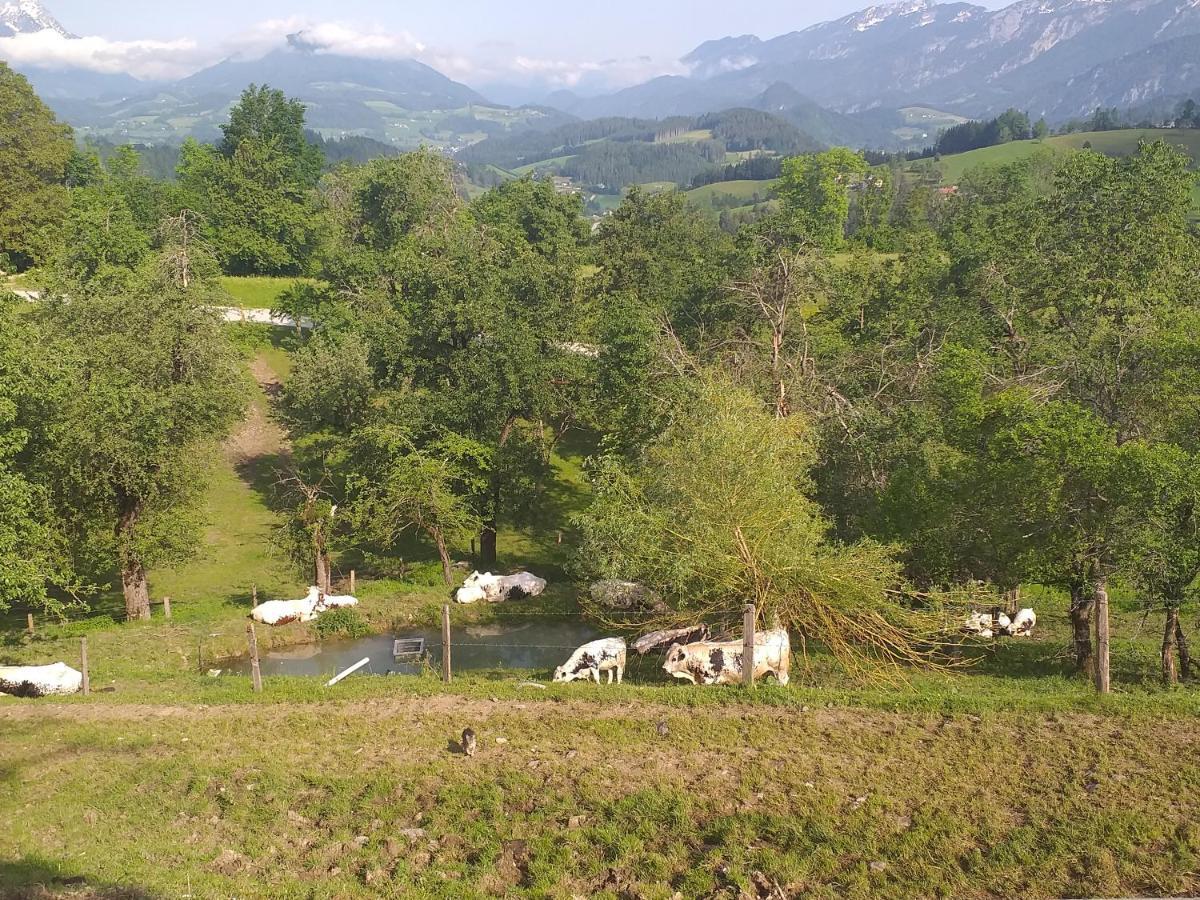 Landhotel Oberwengerhof Spital Am Pyhrn Zewnętrze zdjęcie